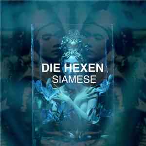 Die Hexen  - Siamese download free