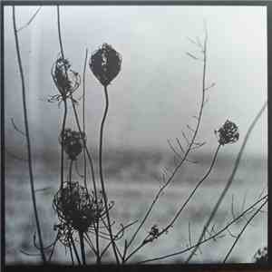 Recondite - Placid download free