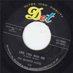 The Quarter Notes - Like You Bug Me download free
